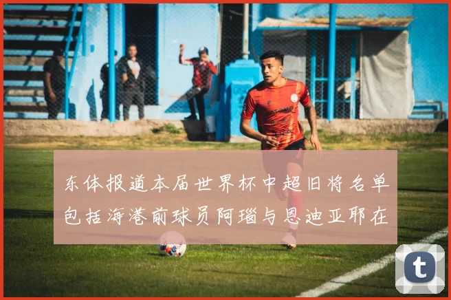 东体报道本届世界杯中超旧将名单包括海港前球员阿瑙与恩迪亚耶在内的10位球员