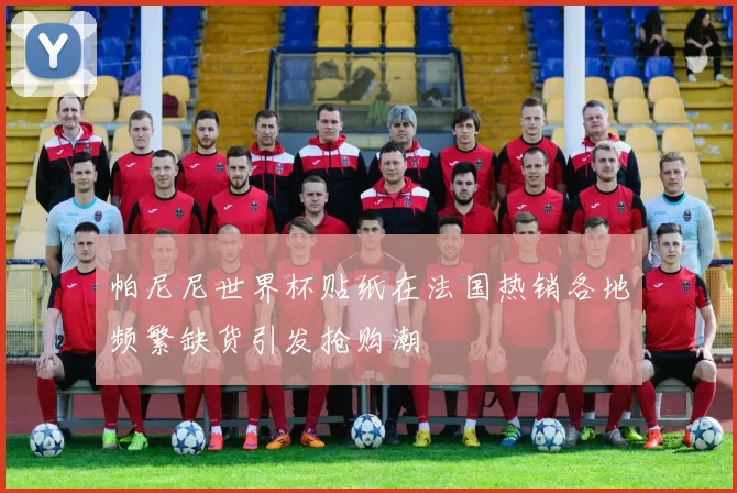 帕尼尼世界杯贴纸在法国热销各地频繁缺货引发抢购潮