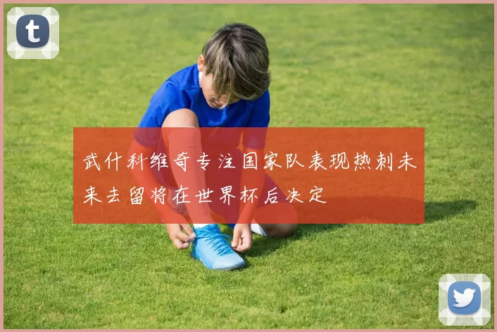武什科维奇专注国家队表现热刺未来去留将在世界杯后决定