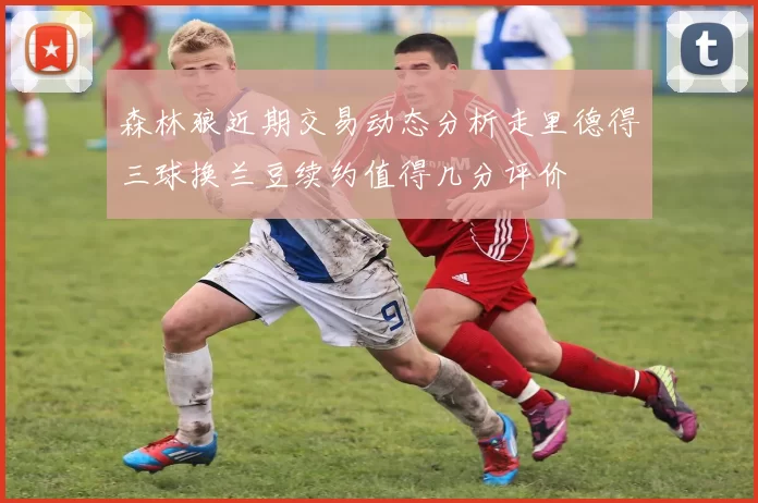 森林狼近期交易动态分析走里德得三球换兰豆续约值得几分评价